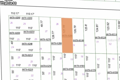 Land in Hawthorne, Florida № 2164933 - photo 3
