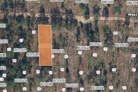 Land in Hawthorne, Florida № 2164933