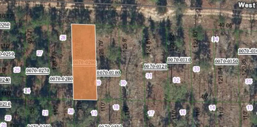 Land in Hawthorne, Florida № 2164933