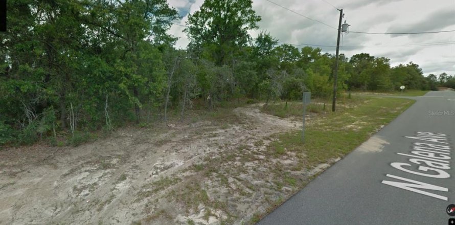 Terrain à Citrus Springs, Floride № 1564962
