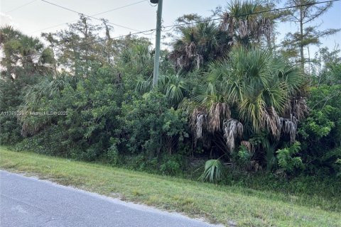 Земельный участок в Нейплс, Флорида № 2019404