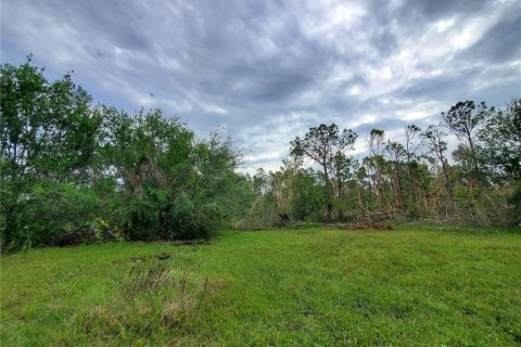 Terrain à vendre à Punta Gorda, Floride № 2214044 - photo 6