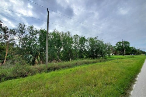 Terrain à vendre à Punta Gorda, Floride № 2214044 - photo 3