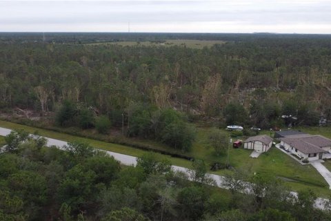 Terrain à vendre à Punta Gorda, Floride № 2214044 - photo 8