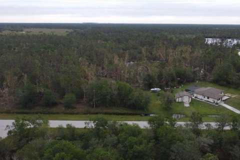 Terrain à vendre à Punta Gorda, Floride № 2214044 - photo 7