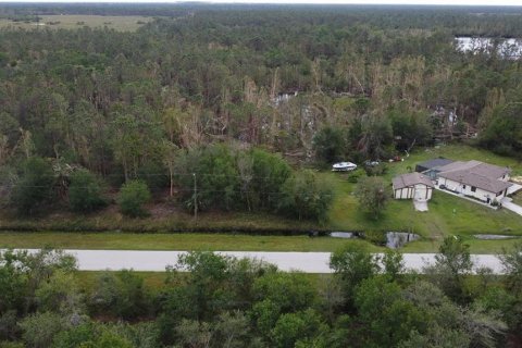 Terrain à vendre à Punta Gorda, Floride № 2214044 - photo 2