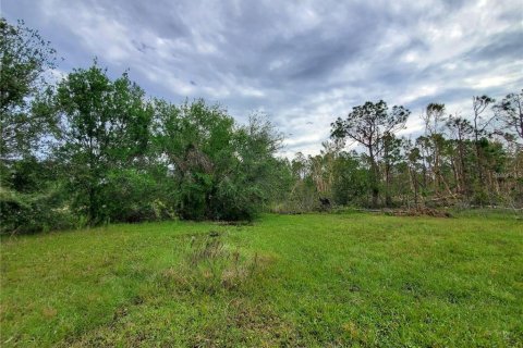 Terrain à vendre à Punta Gorda, Floride № 2214044 - photo 4