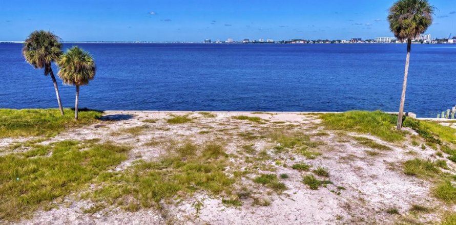 Terrain à Tampa, Floride № 2431727
