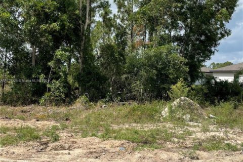 Terreno en venta en Fort Myers, Florida № 1950030 - foto 1