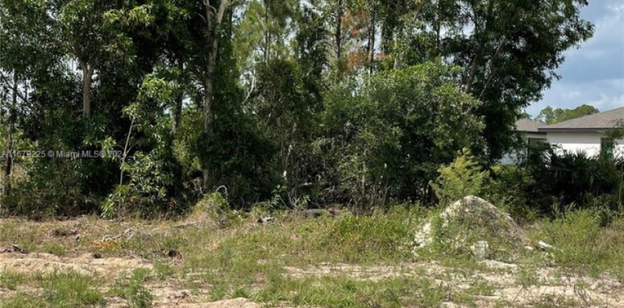 Terreno en Fort Myers, Florida № 1950030