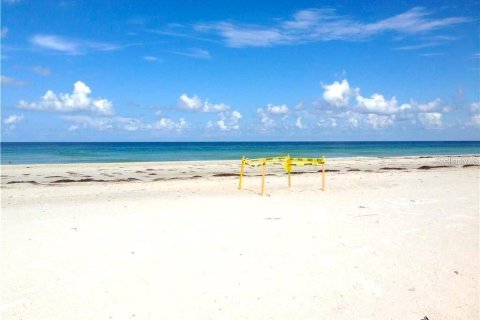 Condo in Saint Pete Beach, Florida, 2 bedrooms  № 1831700 - photo 8