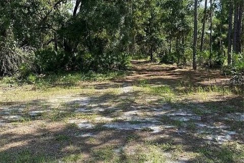 Terrain à vendre à Indian lake estates, Floride № 2165058 - photo 6