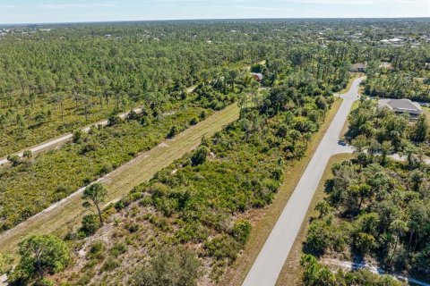 Terrain à vendre à Port Charlotte, Floride № 2205988 - photo 8