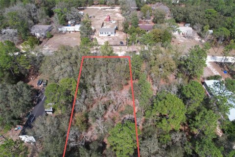 Land in Dunnellon, Florida № 2161957 - photo 2