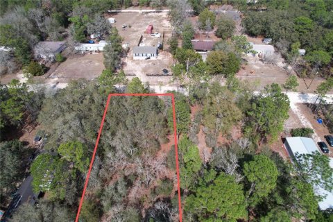 Land in Dunnellon, Florida № 2161957