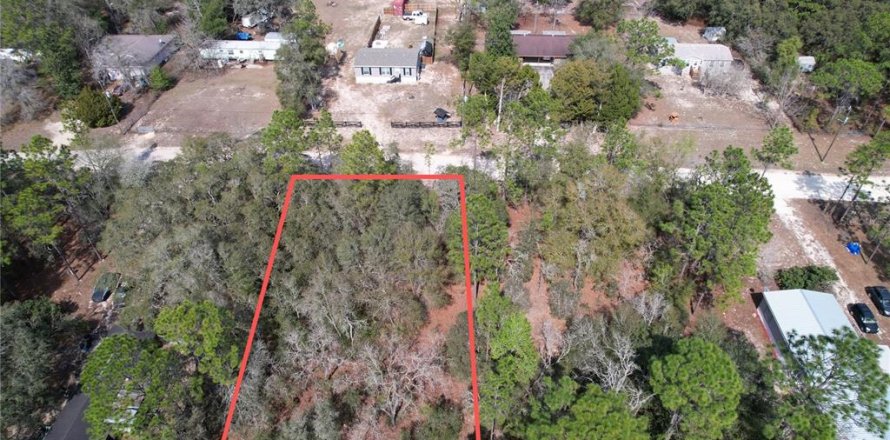 Land in Dunnellon, Florida № 2161957