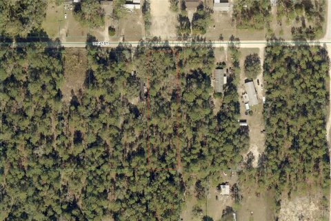 Land in Dunnellon, Florida № 2161957 - photo 4