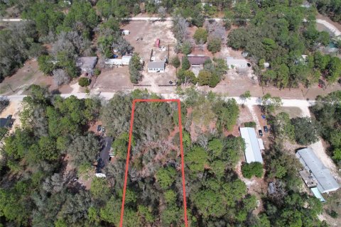 Land in Dunnellon, Florida № 2161957 - photo 3
