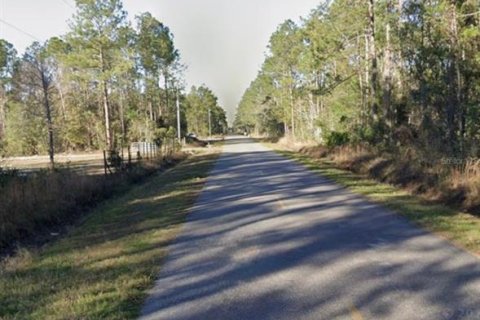 Land in Hastings, Florida № 2163378 - photo 2