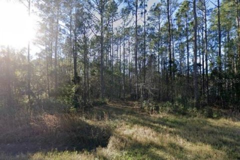 Land in Hastings, Florida № 2163378