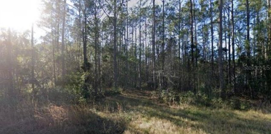Land in Hastings, Florida № 2163378