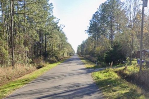 Land in Hastings, Florida № 2163378 - photo 3