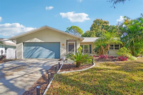 Villa ou maison à Palm Harbor, Floride 2 chambres, 122.54 m2 № 2110489