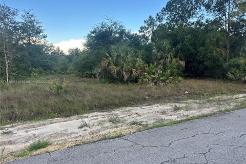 Terreno en venta en Lehigh Acres, Florida № 1823654 - foto 6