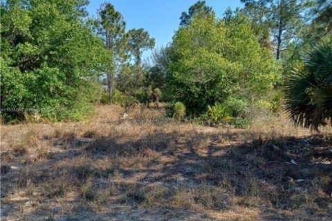Terreno en venta en Lehigh Acres, Florida № 1823654 - foto 4