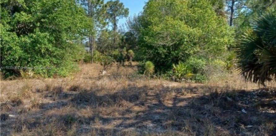 Terreno en Lehigh Acres, Florida № 1823654