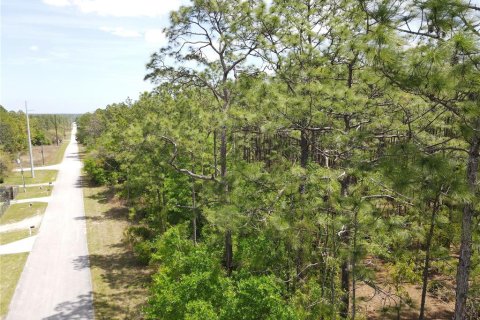 Terreno en venta en Dunnellon, Florida № 1619272 - foto 2