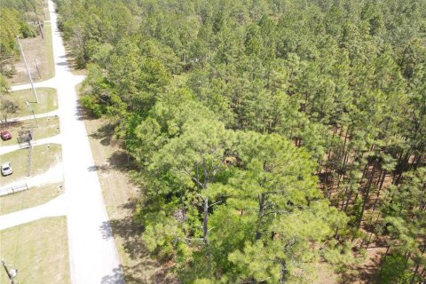 Terreno en venta en Dunnellon, Florida № 1619272 - foto 3