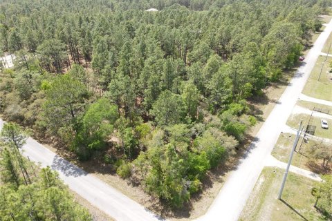 Terreno en venta en Dunnellon, Florida № 1619272 - foto 7