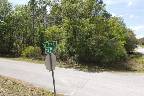 Terreno en venta en Dunnellon, Florida № 1619272 - foto 10