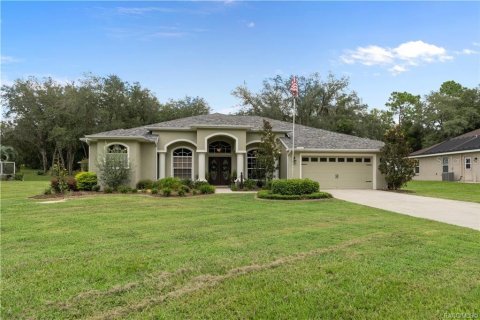 Villa ou maison à Inverness, Floride 3 chambres, 220.27 m2 № 2360333