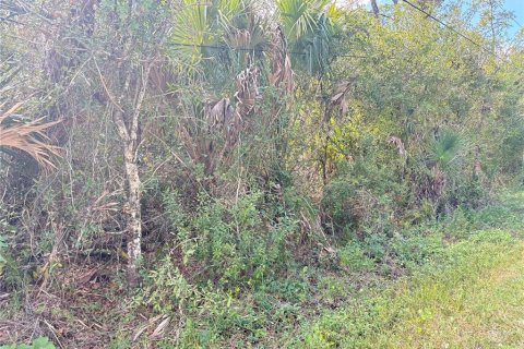 Land in North Port, Florida № 2166096 - photo 2