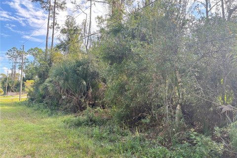 Land in North Port, Florida № 2166096 - photo 5