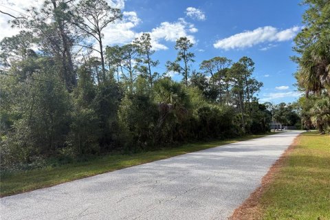 Land in North Port, Florida № 2166096 - photo 3