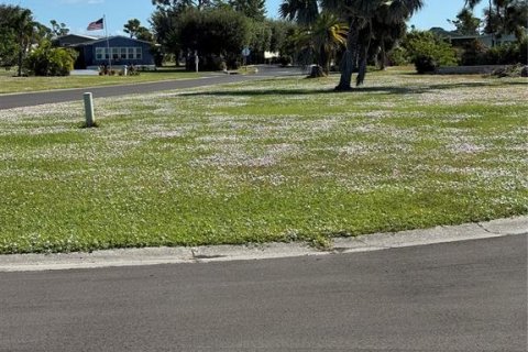 Land in Englewood, Florida № 2165928 - photo 6