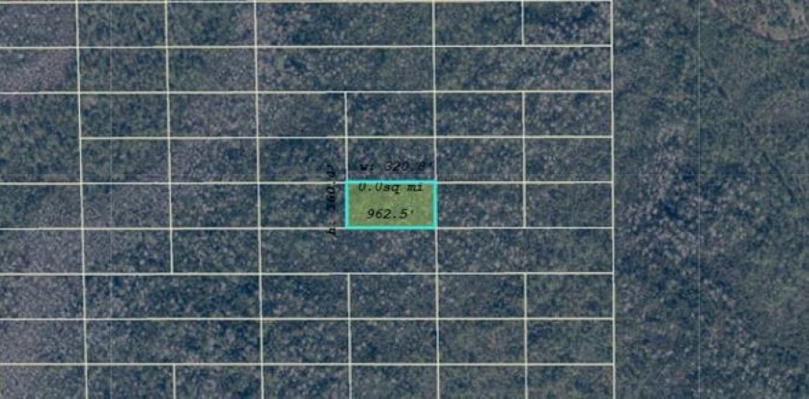 Land in Orlando, Florida № 2233570