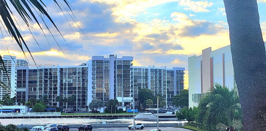 Condo in Hollywood, Florida, 1 bedroom  № 2392367