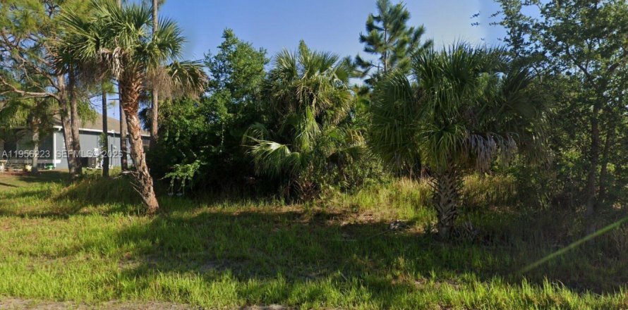 Terreno en Palm Bay, Florida № 2011897