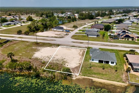 Land in Cape Coral, Florida № 2221198 - photo 2