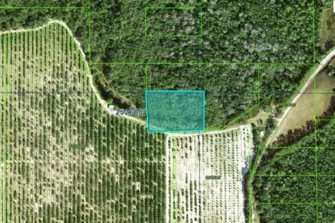 Terrain à Polk City, Floride № 2235105