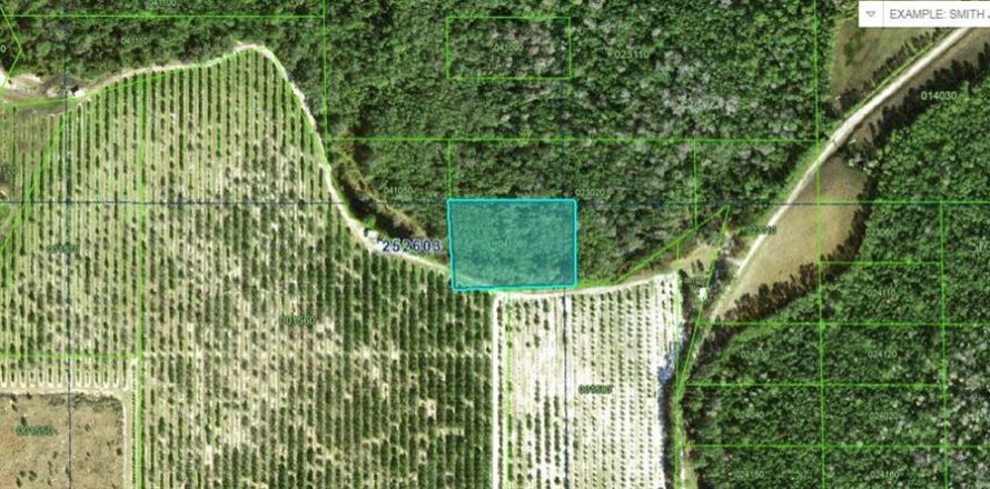 Terrain à Polk City, Floride № 2235105