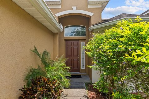 House in Tampa, Florida 4 bedrooms, 187.85 sq.m. № 1905802 - photo 5