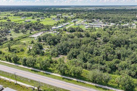 Land in Punta Gorda, Florida № 1895085 - photo 7