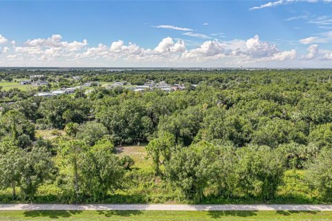 Land in Punta Gorda, Florida № 1895085 - photo 11
