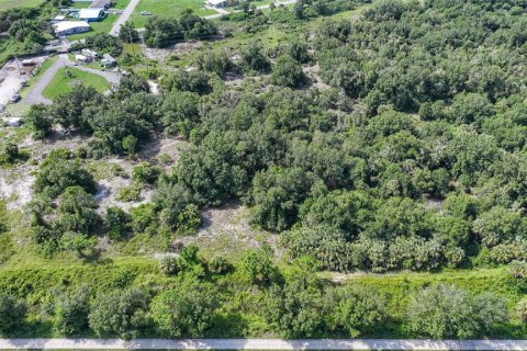 Land in Punta Gorda, Florida № 1895085 - photo 12
