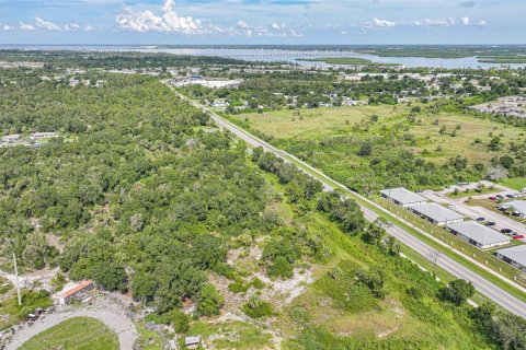 Land in Punta Gorda, Florida № 1895085 - photo 18